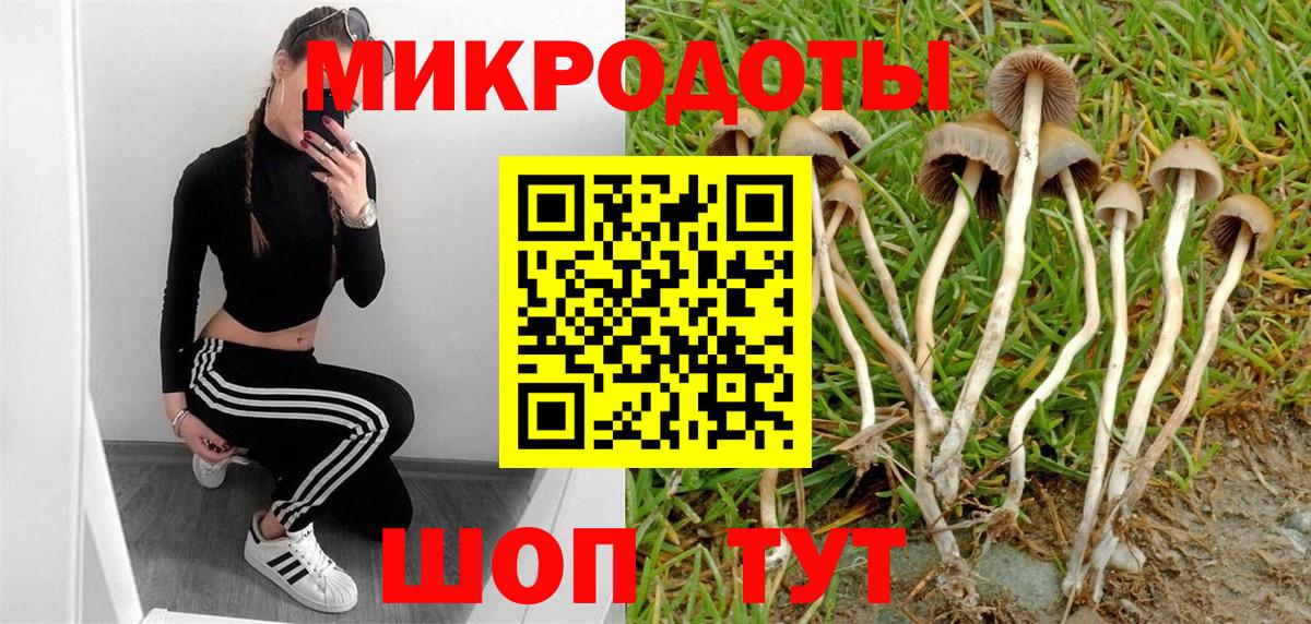 Псилоцибиновые грибы Magic Shrooms  Вход с VPN  Балашов 